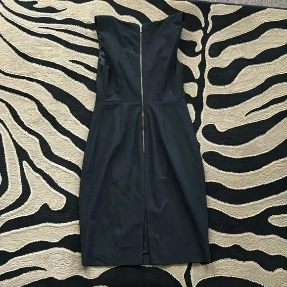 Express Dress - Picture 4 of 6